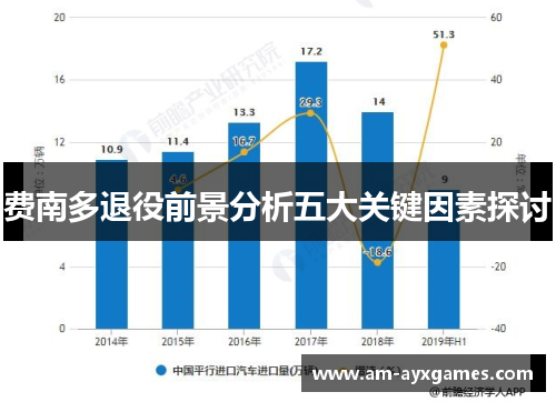 费南多退役前景分析五大关键因素探讨