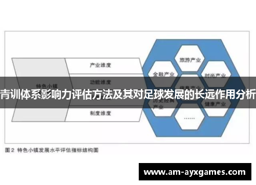 青训体系影响力评估方法及其对足球发展的长远作用分析