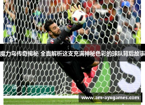 魔力鸟传奇揭秘 全面解析这支充满神秘色彩的球队背后故事