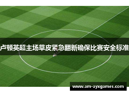 卢顿英超主场草皮紧急翻新确保比赛安全标准